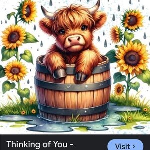 Colorful Highland Cow Plush Blanket with Cow Design 50x60 New